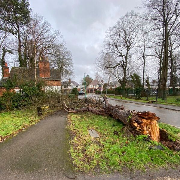 Leicester Tree Surgeons at SunnySide Gardeners safely remove a storm damaged tree fallen across the public highway