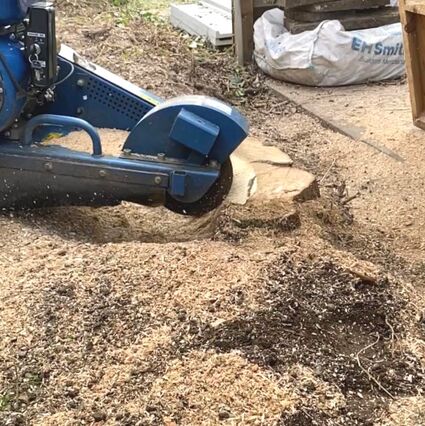 Tree Stump removal by Tree Surgeons at SunnySide Gardeners Tree Surgery and Gardening Services in Leicestershire